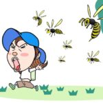最強の蜂・オオスズメバチとは？生態・毒性・駆除方法をご紹介